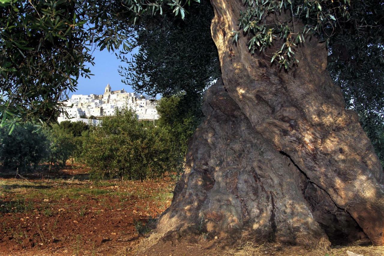 B&B La Stradella Ostuni Eksteriør billede